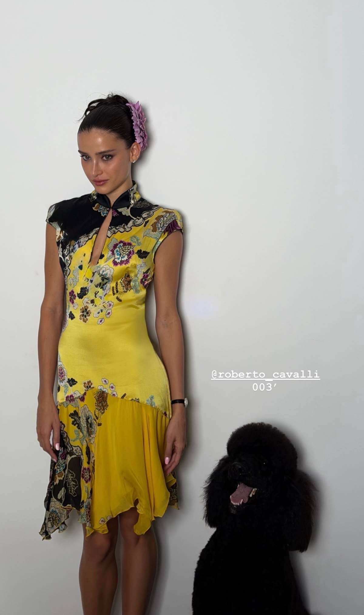 Roberto Cavalli 2003 Runway Silk Dress – Oriental Floral Print Asymmetric Mini Dress Rare Archive Museum Piece Made in Italy