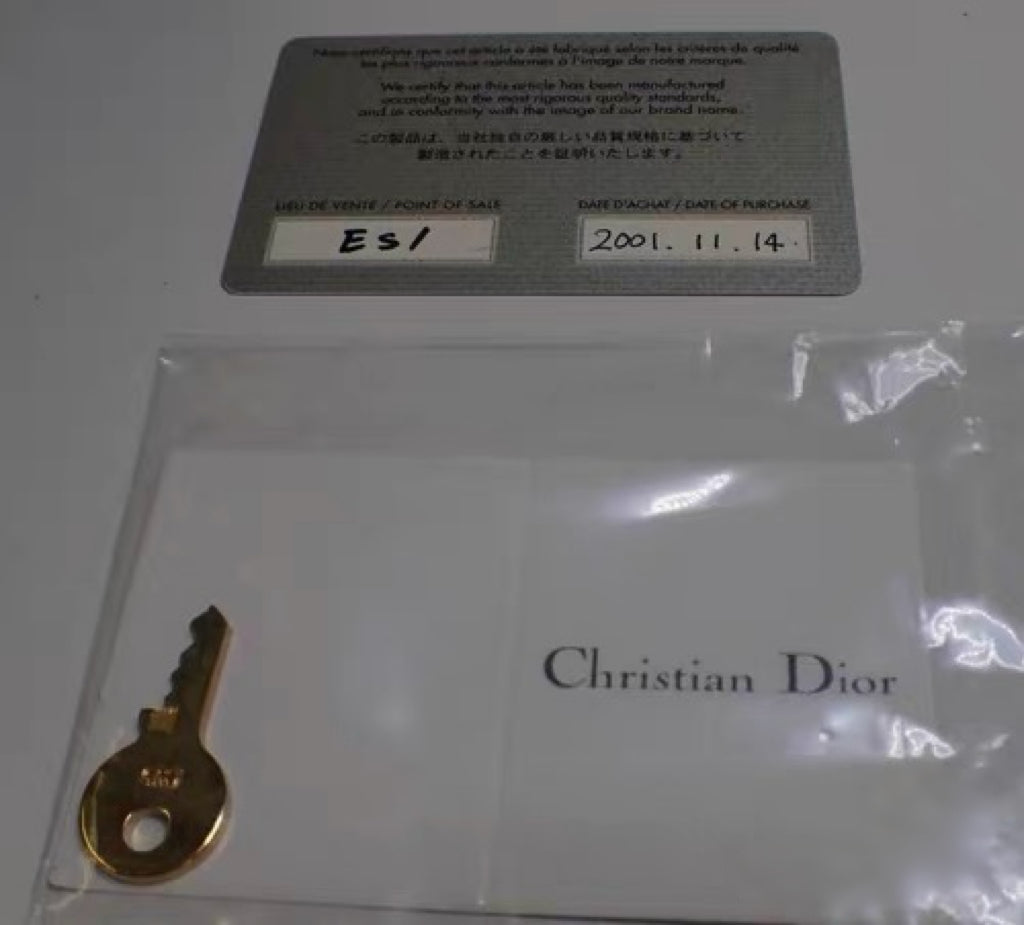 Christian Dior by John Galliano “Detective Bag” Limited Edition – Brown Marble Leather Large D Logo Handbag with Lock & Key